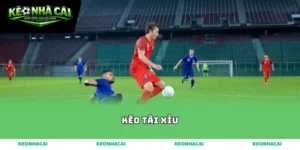 kèo tài xỉu